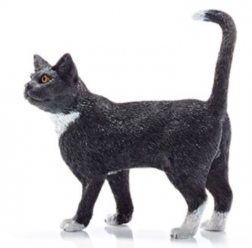 KATZE SCHWARZ - STEHEND